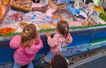 🛍️ Découverte du marché de Ballancourt
